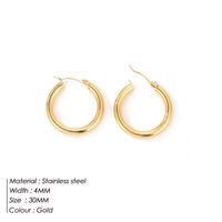 Fashion Geometric Stainless Steel Earrings sku image 4