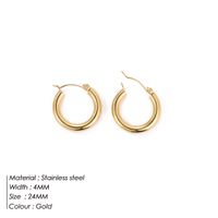 Fashion Geometric Stainless Steel Earrings sku image 5