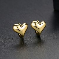 Womens Heart Shaped Copper Earrings Tm190423118857 sku image 4