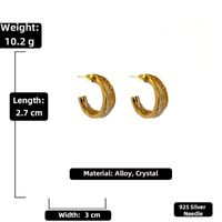 Simple Crystal Mesh Circle Geometric Alloy Stud Earrings Wholesale sku image 3