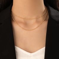 Mode Ornament Einfache Kette Doppel-schicht Einfache Geometrische Legierung Halskette main image 5