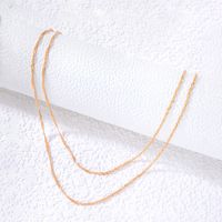 Fashion Ornament Simple Chain Double-layer Simple Geometric Alloy Necklace main image 2
