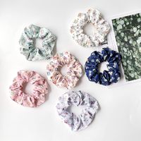 Butterfly Pattern Chiffon Women's Hair Rope Hair Accessories Wholesale main image 3