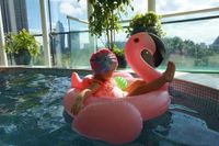 Großhandel Aufblasbare Weiß Schwan Sitz Geformt Flamingo Kinder Schwimmen Ring Kinder main image 4