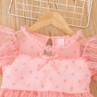 2022 D'été Rose Robe Petite Fille Princesse Robe Tulle Jupe main image 5