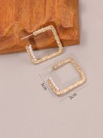 Spring New Fashion Ear Ring Starry Exaggerated Square Nightclub 925 Silver Pin Earrings Women's Small Jewelry main image 5