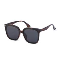 Fashion Sun-resistant Women's And Men's Cat Eye Sunglasses sku image 5