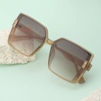 2022 New Fashion Polarized Large Frame Sun-resistant Women's Sunglasses main image 5