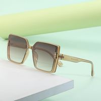 2022 New Fashion Polarized Large Frame Sun-resistant Women's Sunglasses main image 1