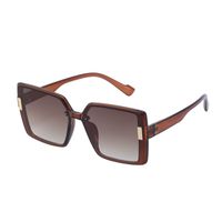 2022 New Fashion Polarized Large Frame Sun-resistant Women's Sunglasses main image 3