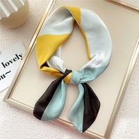 Mode Kleine Dünne Quadratische Handtuch Silk Schal Haar Band Für Frauen 70*70 sku image 18