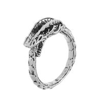 Retro New Style Creative Ouroboros Shape Alloy Ring main image 4
