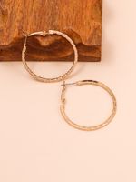 Simple Style Geometric Alloy Hoop Earrings 1 Pair main image 6