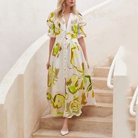 Women's A-line Skirt Elegant V Neck Printing Long Sleeve Flower Maxi Long Dress Daily main image 5