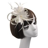 Spring And Summer Feather Bridal Wedding Mesh Linen Hat sku image 10