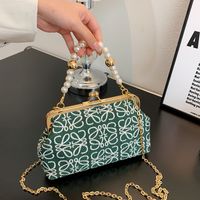 Women's Fashionable Embroidered Thread Texture Mesh Pearl Hand Chain Crossbody Small Square Bag main image 2