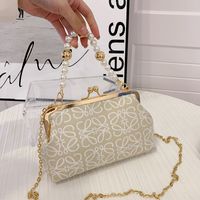 Women's Fashionable Embroidered Thread Texture Mesh Pearl Hand Chain Crossbody Small Square Bag main image 4