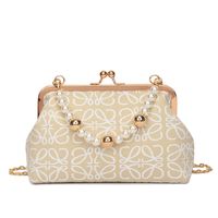 Women's Fashionable Embroidered Thread Texture Mesh Pearl Hand Chain Crossbody Small Square Bag sku image 2