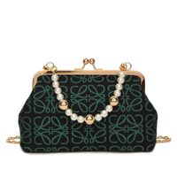 Women's Fashionable Embroidered Thread Texture Mesh Pearl Hand Chain Crossbody Small Square Bag sku image 3