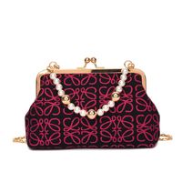 Women's Fashionable Embroidered Thread Texture Mesh Pearl Hand Chain Crossbody Small Square Bag sku image 4