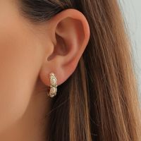 New Style Geometry Rhinestone Pearl Semicircle Alloy Stud Earrings main image 1
