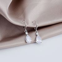 Silver Needle Personality Tassel Three-dimensional Crystal Earrings main image 4