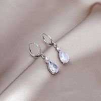 Silver Needle Personality Tassel Three-dimensional Crystal Earrings main image 2