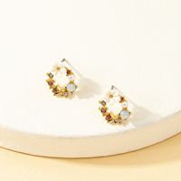 2022 New Fashion Garland Women's Micro-inlaid Crystal Pearl Alloy Earrings main image 2