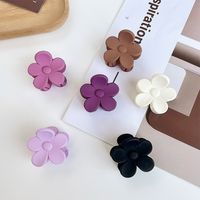 Spring Solid Color Irregular Shaped Petals Small Hair Clip main image 4