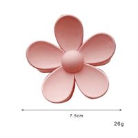 Fashion Frosted Candy Color Flower Shaped Hairpin Hair Clip Hair Accessories main image 4