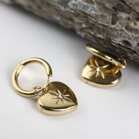 Fashion Eight Awn Star Inlaid Zircon Heart Pendant Stainless Steel Gold Plated Earring main image 2