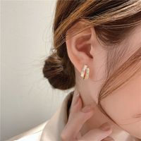 Fashion Alloy Geometric Earrings Shopping Electroplating Enamel Hoop Earrings As Picture main image 4
