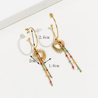 Fashion Geometric Stainless Steel Earrings Plating Stainless Steel Earrings sku image 6