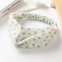 Simple Style Flower Pattern Fabric Women's Cross-knotted Hair Band main image 4