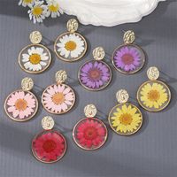 New Style Transparent Dried Flower Little Daisy Resin Round Pendant Earrings main image 1