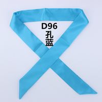 Fashion Solid Color Slender Narrow Small Silk Ribbon Decorative Scarf sku image 27