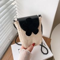 Phone Holder Small Women 2022 New Pearl Chain Straw Mini Messenger Bag main image 5