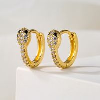 New Style Copper Plated 18k Gold Micro Inlaid Zircon Snake Earrings main image 4