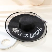 Simple Wide-brimmed New Trend Sequin Embroidery Lace Edge Straw Hat sku image 3