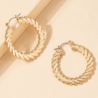 Fashion Alloy Geometric Twisted Circle Vintage Alloy Earrings main image 4