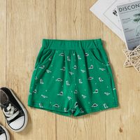 Boys Summer New Dinosaur Letter Print Short-sleeve Cotton Casual Two-piece Suit main image 6