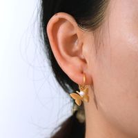 Neue Stil 18k Gold Überzogene Glatte Schmetterling Perle Anhänger Edelstahl Ohrringe main image 5