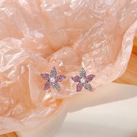 Fashion New Spring And Summer Inlay Colorful Crystals Star Pearl Ear Studs main image 2