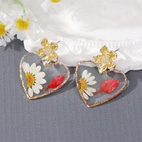 Neue Stil Kreative Rose Getrocknete Blume Schmetterling Herz-förmigen Anhänger Ohrringe main image 2