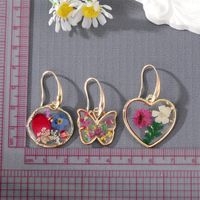 New Style Transparent Heart Butterfly Dried Flower Geometric Pendant Earrings main image 3