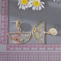 Mignon Style De Fleurs Séchées Petite Marguerite Demi-cercle Transparent Pendentif Boucles D'oreilles main image 3