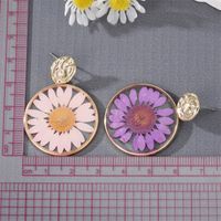 New Style Transparent Dried Flower Little Daisy Resin Round Pendant Earrings main image 3