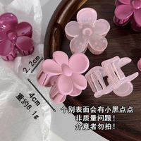 Cute Flower Shape Small Size Plastic Hair Claw main image 6