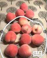 Simulation Fruit Cute Big Peach Earrings sku image 2