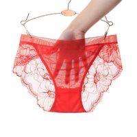 Bragas De Cintura Media De Malla Sexy De Talla Grande Con Entrepierna De Algodón Purificada De Encaje Para Mujer sku image 10